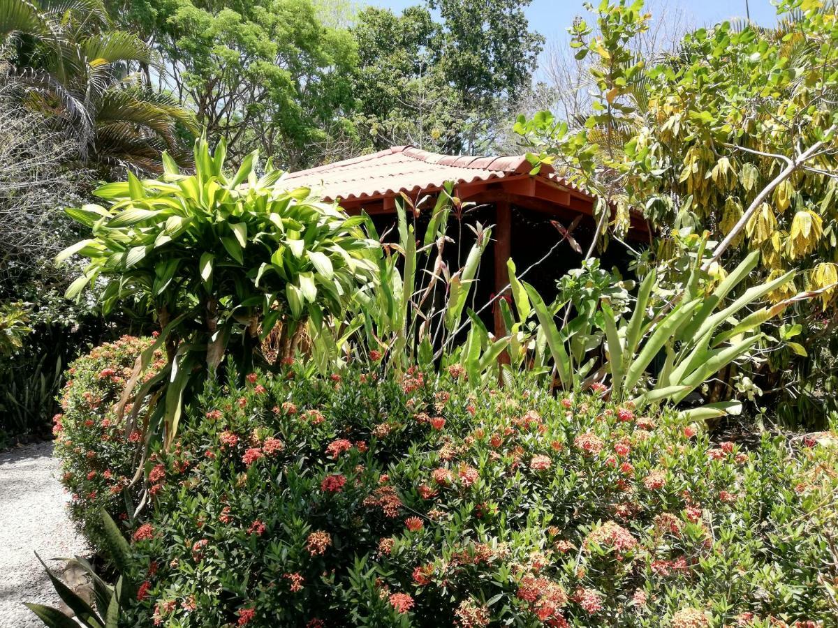 Mundo Goub'Art Bed & Breakfast Cabuya  Luaran gambar