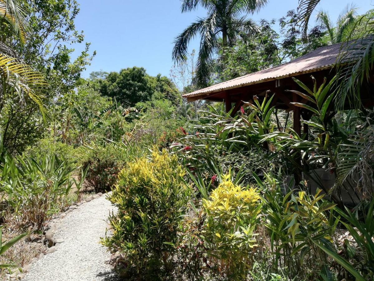 Mundo Goub'Art Bed & Breakfast Cabuya  Luaran gambar