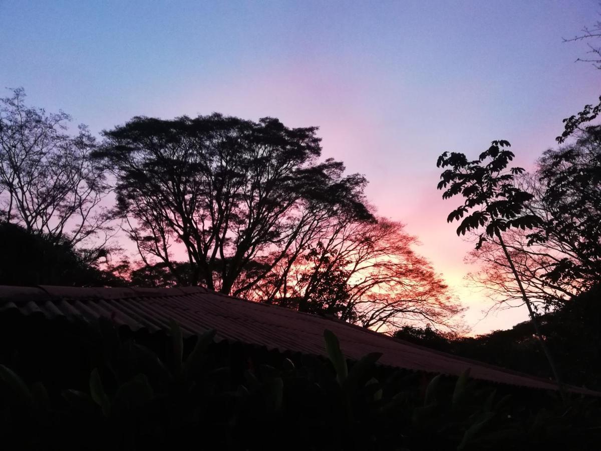 Mundo Goub'Art Bed & Breakfast Cabuya  Luaran gambar